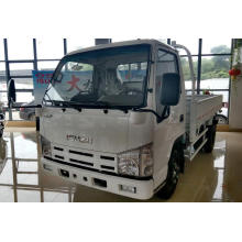 Isuzu 100p Single Row Light Cargo Truck